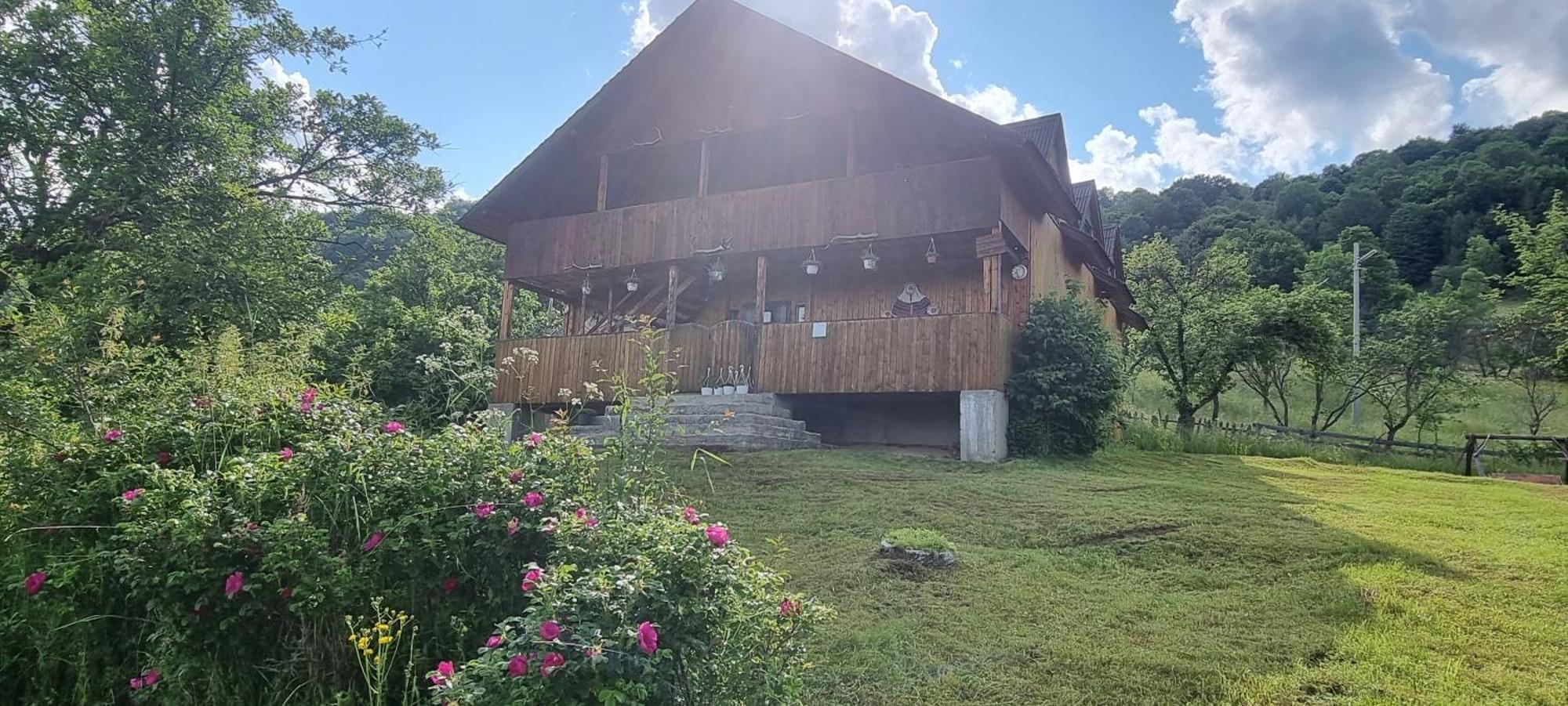 Cabana Suciu Villa Ръкицеле Екстериор снимка