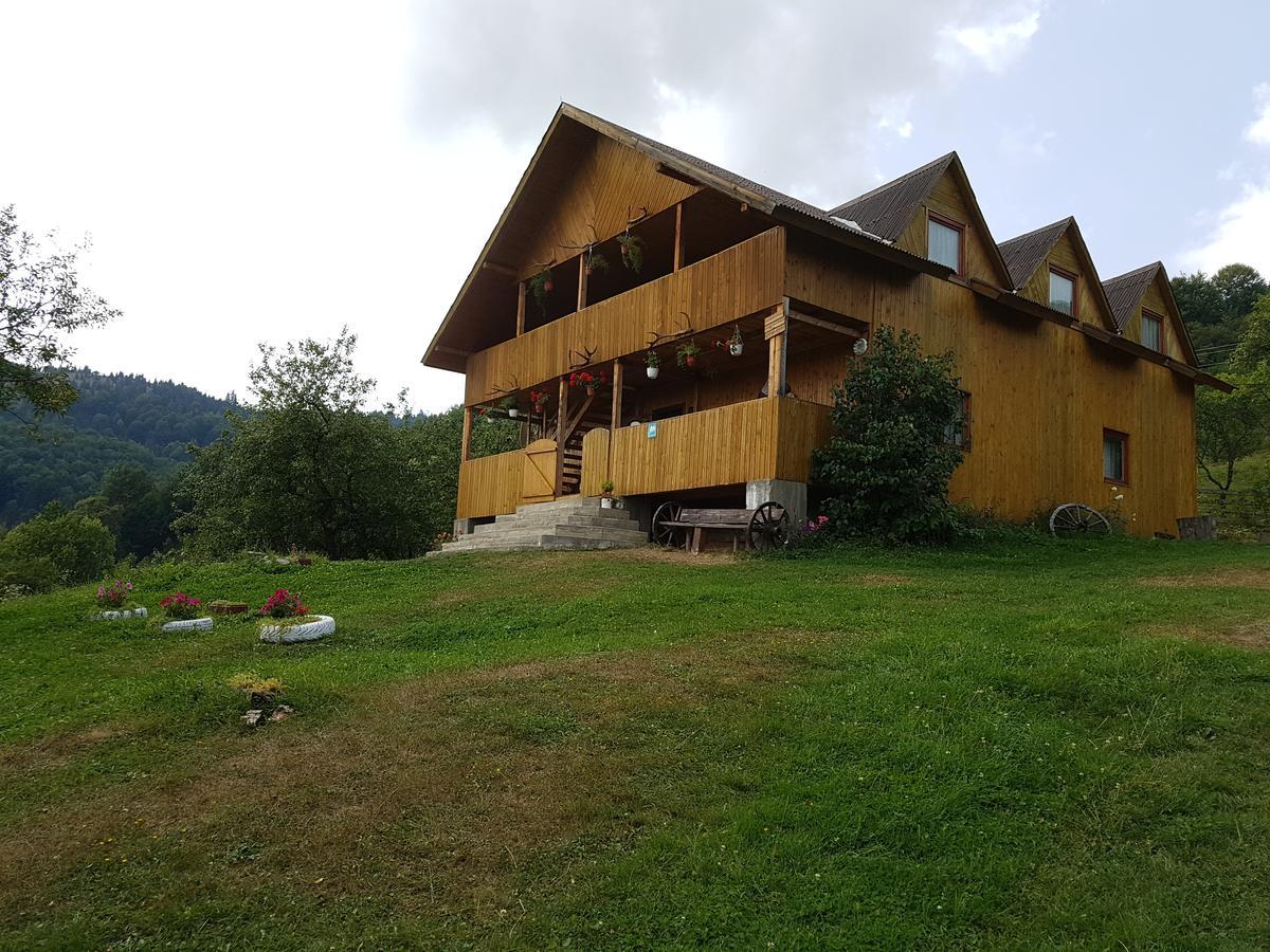 Cabana Suciu Villa Ръкицеле Екстериор снимка